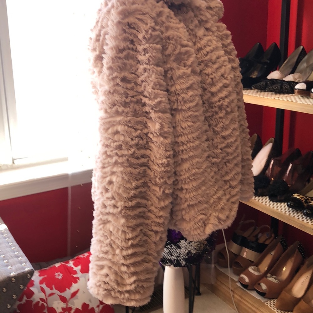 Jacket - Picture 3 of 5